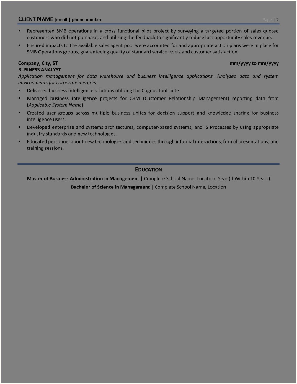 Personal Summary Statement Sample Business Intelligence Resume Resume 