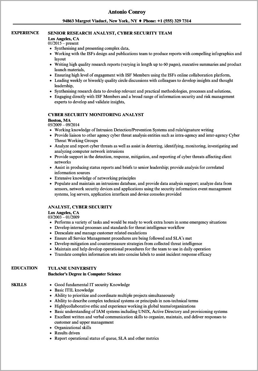 Professional Cyber Security Resumes - Professional Cyber Security Resumes Examples