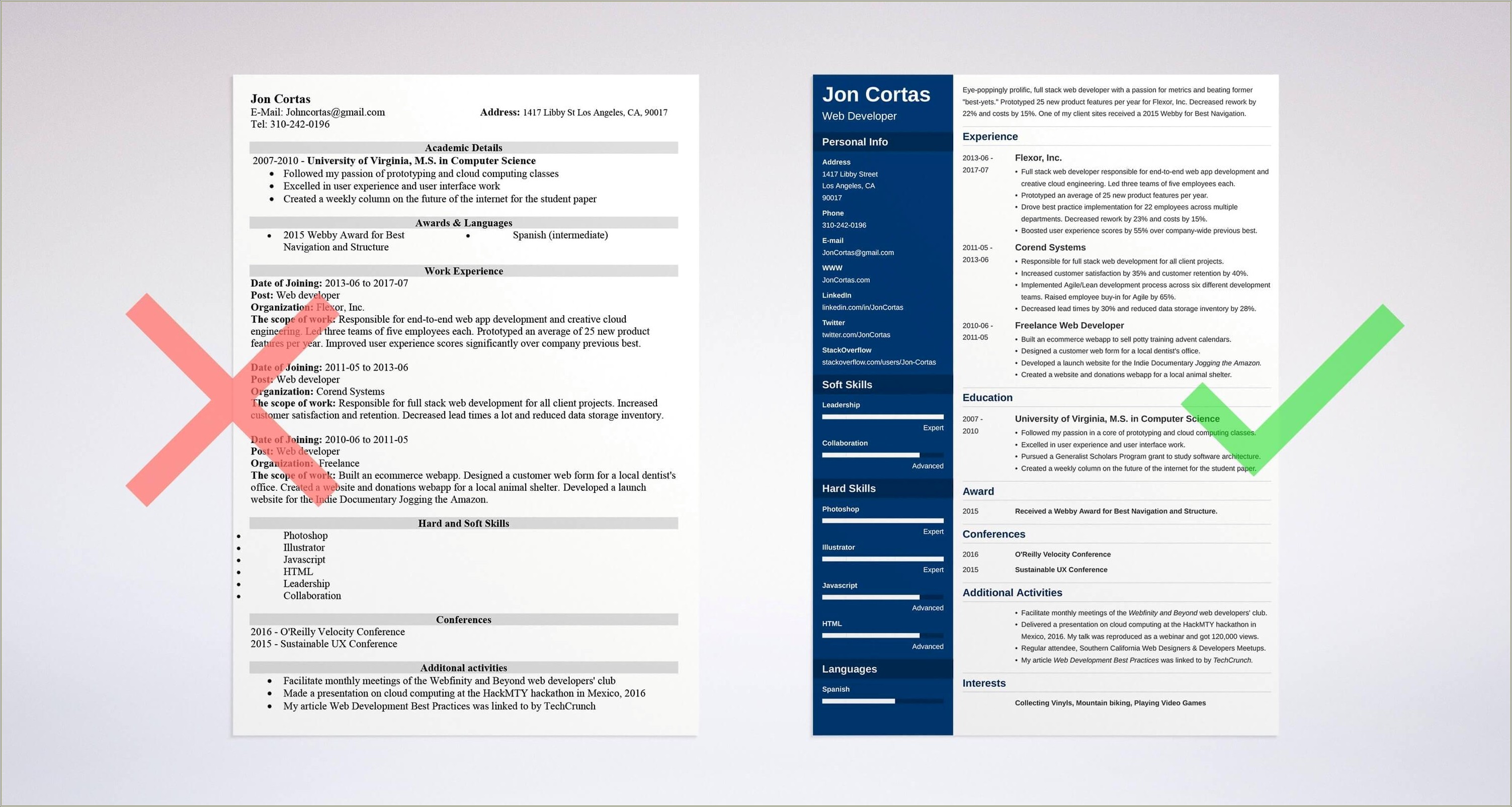 Professional Organized Web Develope Resume Template