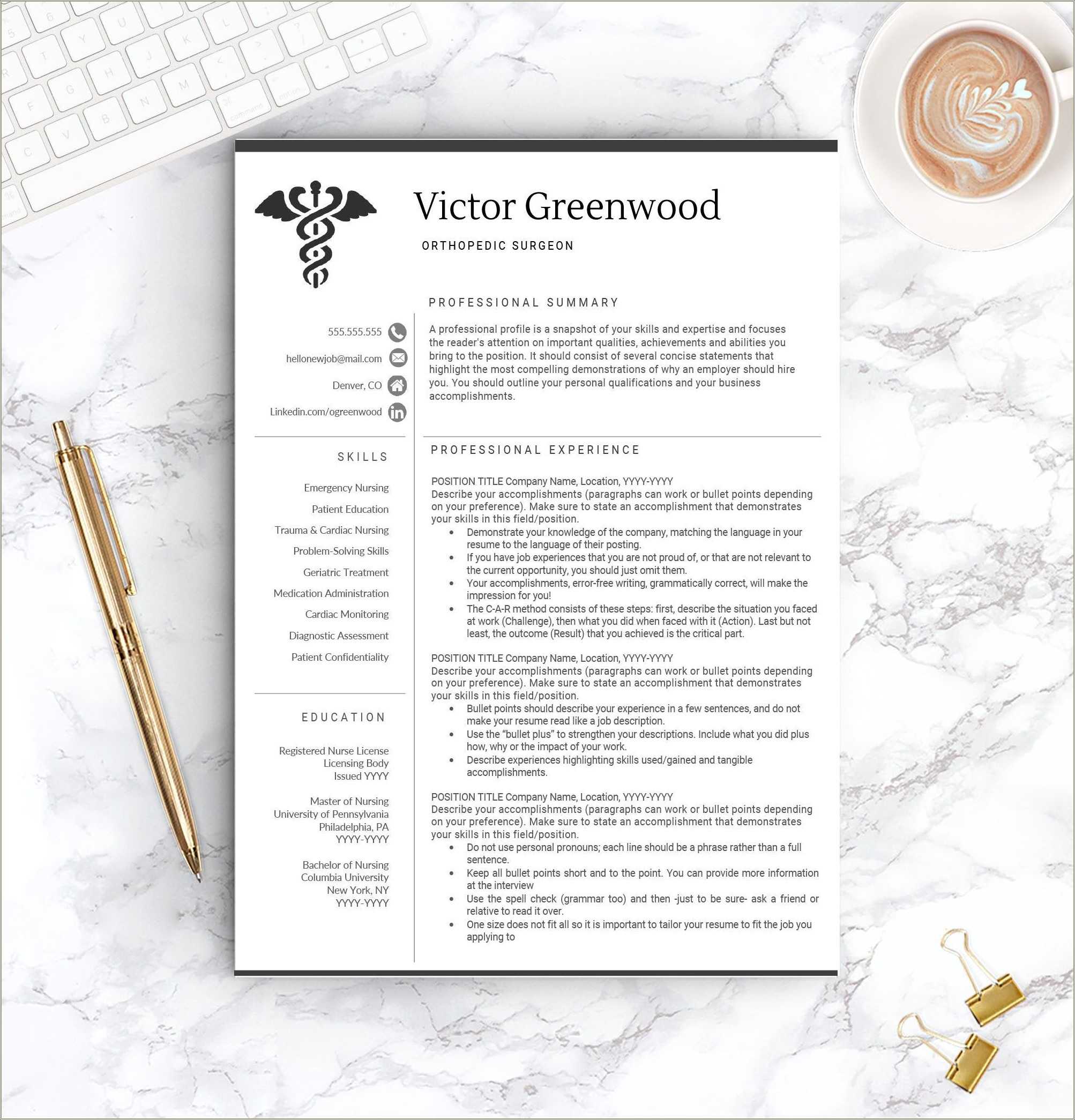 Professional Rn Resume Template Free