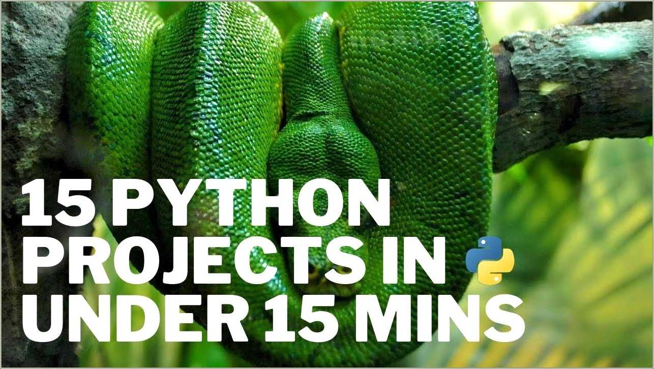Python Projects To Practice And Put On Resume - Resume Example Gallery