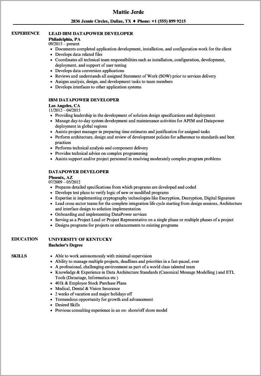 Resume Example For Ibm Applicant