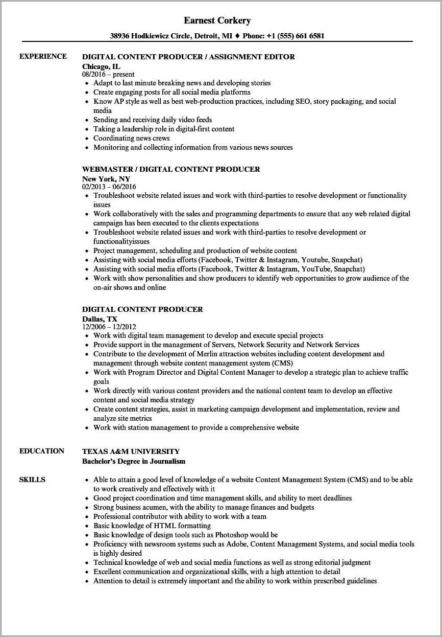 Media And Entertainment Resume - Resume Examples For Digital Media 