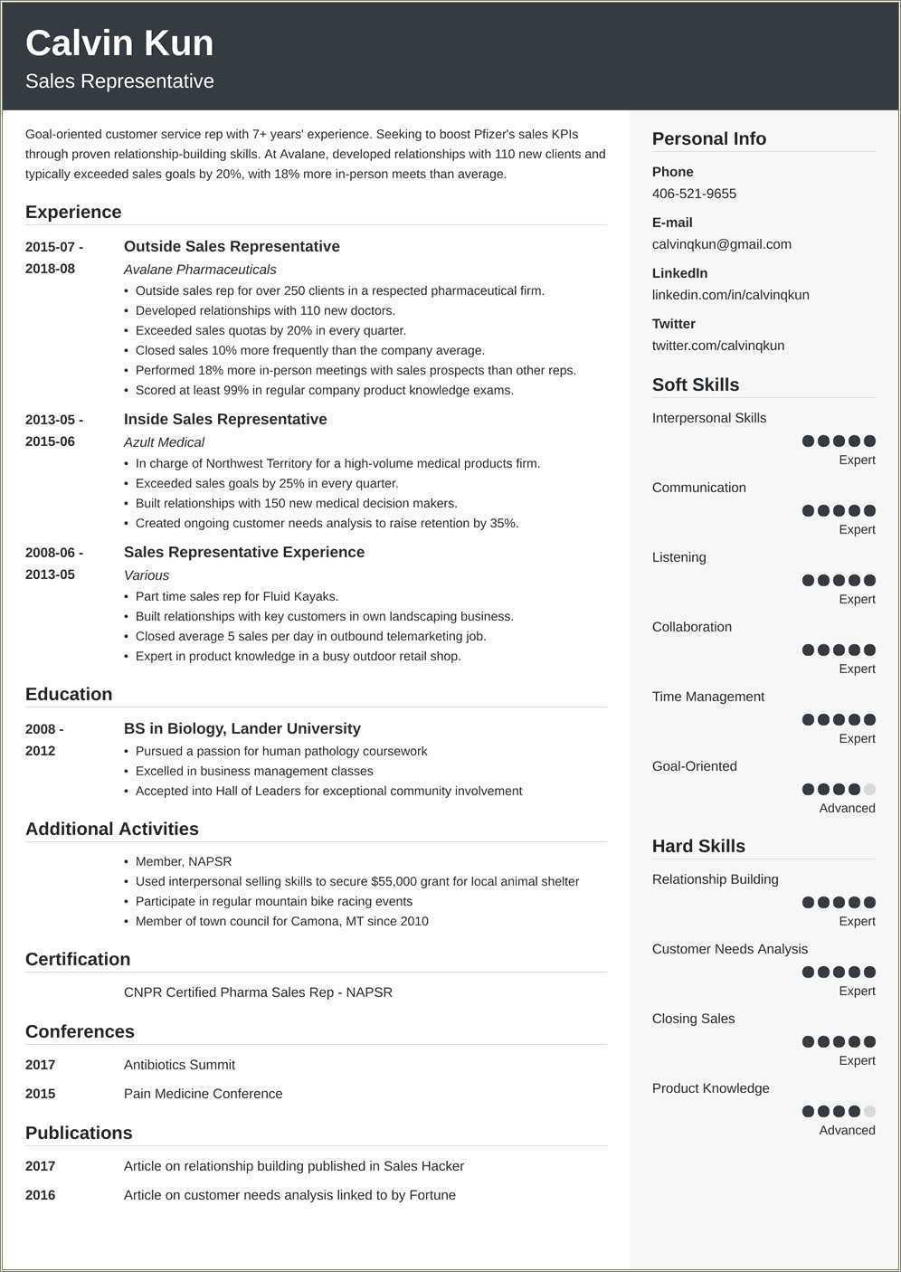 Resume Examples Sales Representative - Resume Examples Sales Representative No Experience 