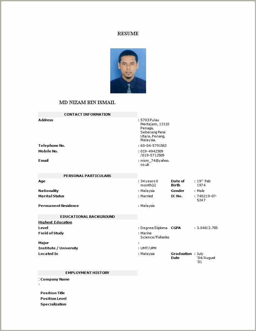 Resume Format Malaysia Job Application Resume Example Gallery