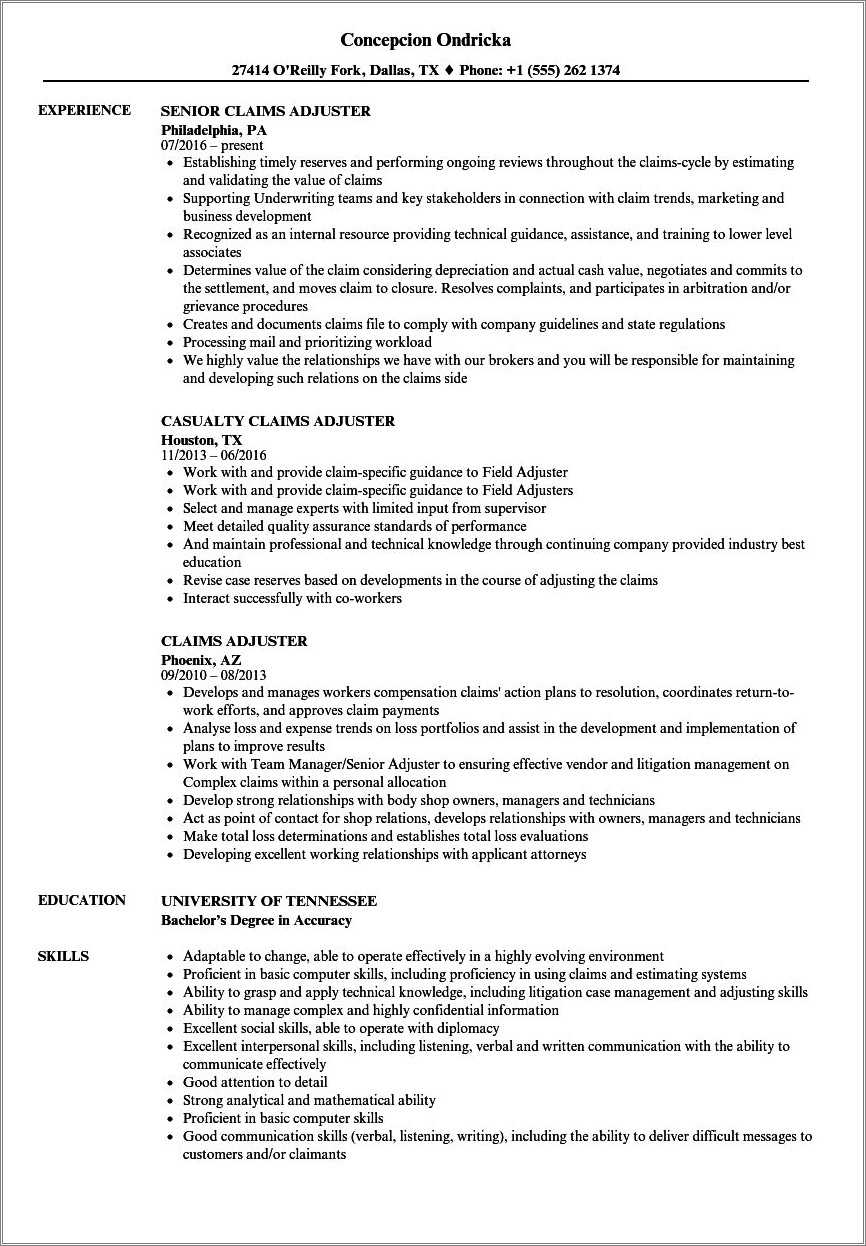 Resume Objective Examples Insurance Claims
