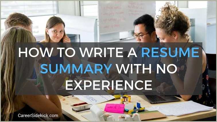 Summary Of Experience Resume Sample Resume Example Gallery
