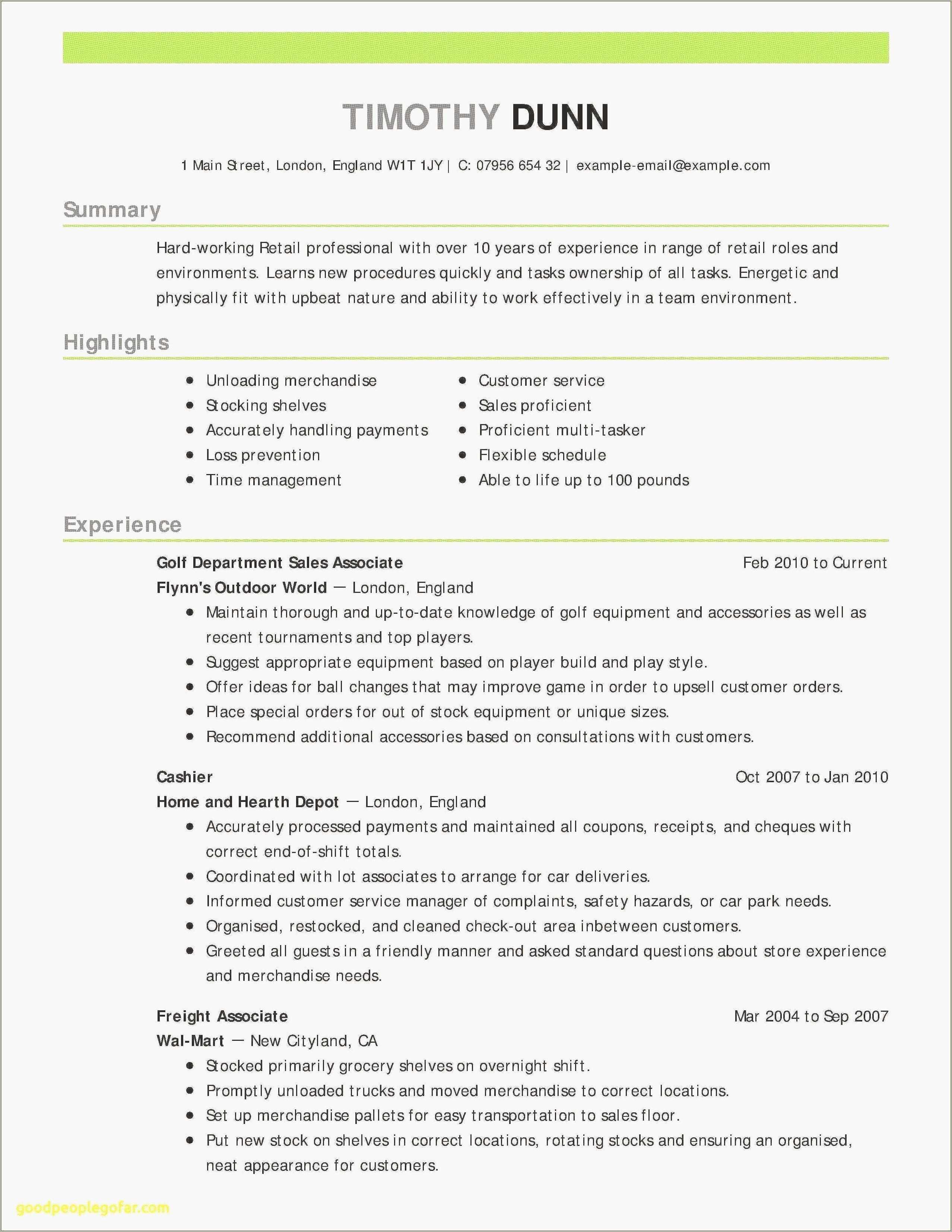 Resume Summary Examples For Beginners - Resume Example Gallery