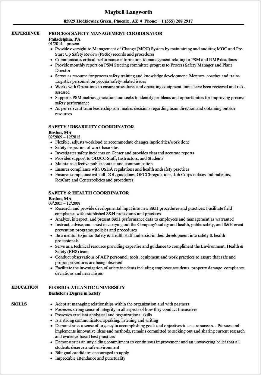 Resume Objective Examples For Safety Resume Example Gallery