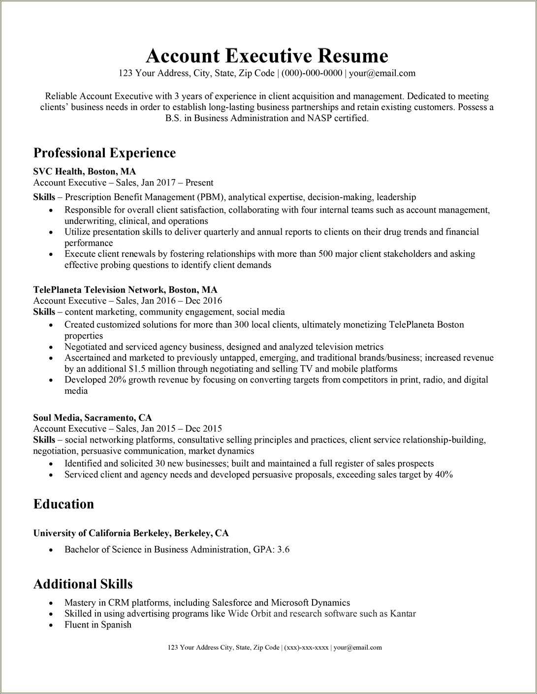 Sales Account Executive Resume Examples