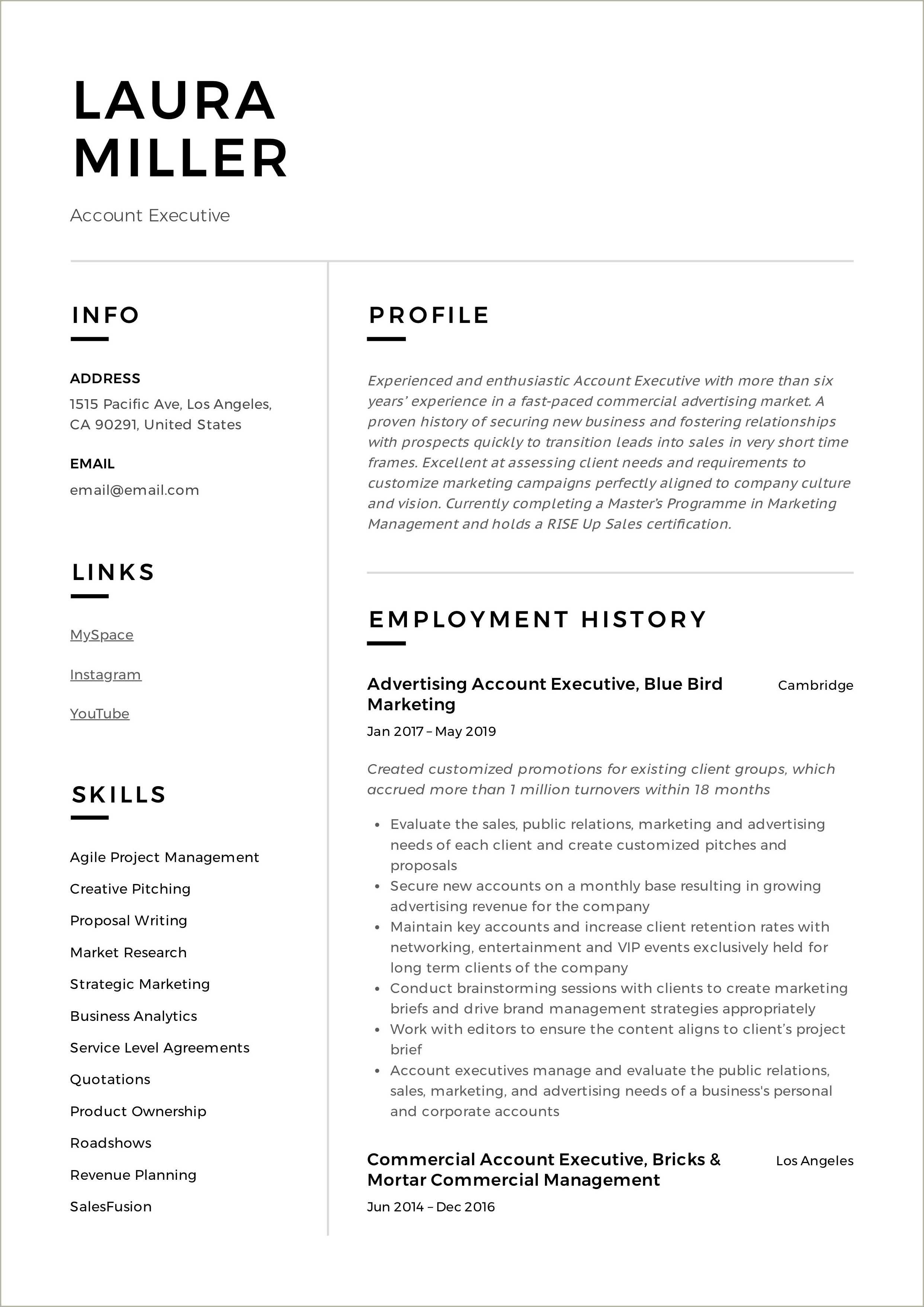 Sample Advertising Account Manager Resume