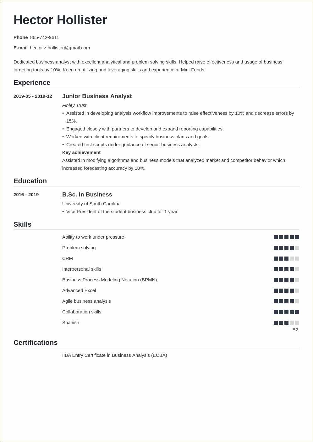 Sample Experienced Business Analyst Resumes Resume Example Gallery
