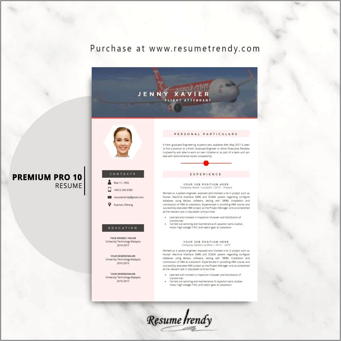 flight attendant resume delta