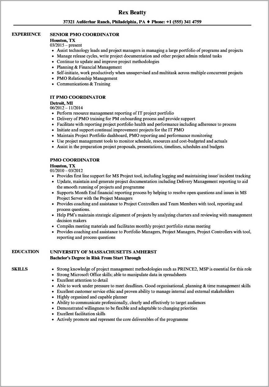 Sample Resume For Pmo Profile Resume Example Gallery sample-resume-for-pmo-profile-resume-example-gallery