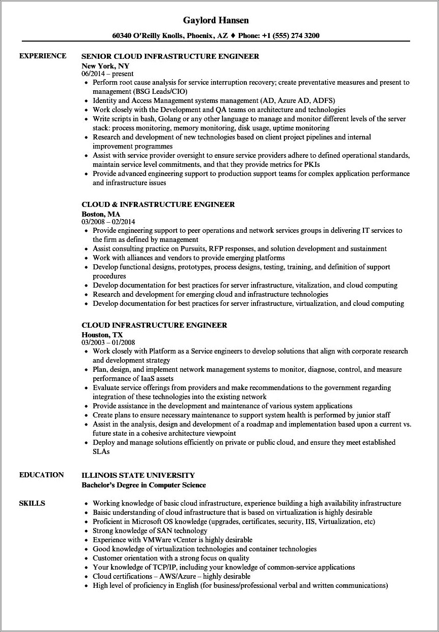sample resume for l1a visa