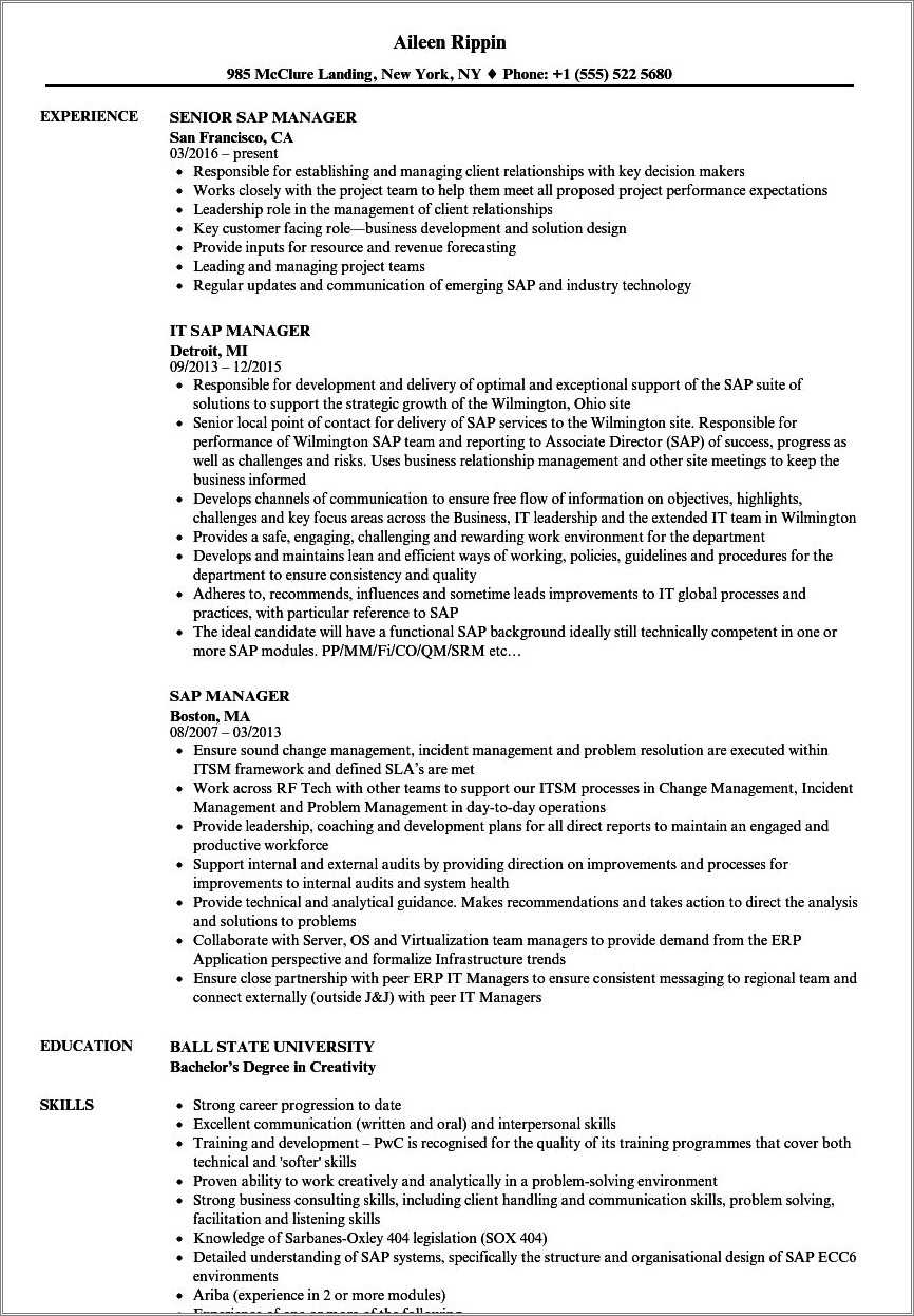 Sap implementation project manager resume resume example gallery