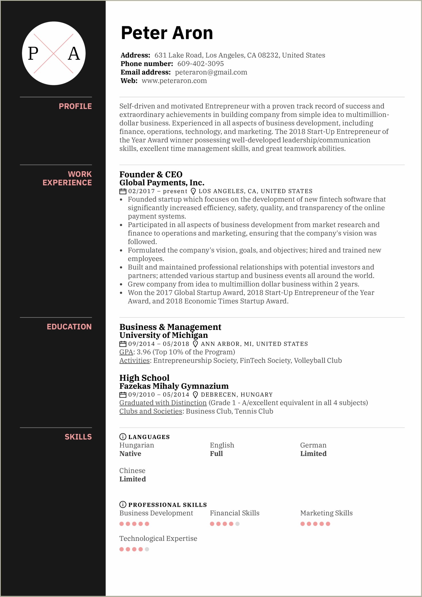 Senior Entrepreneur Executive Resume Sample Resume Example Gallery