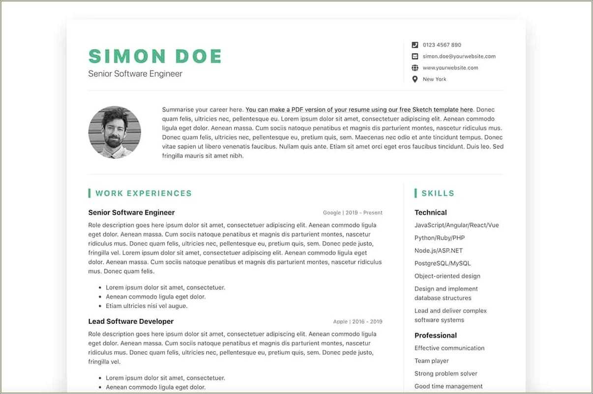 software-developer-resume-sample-india-resume-example-gallery