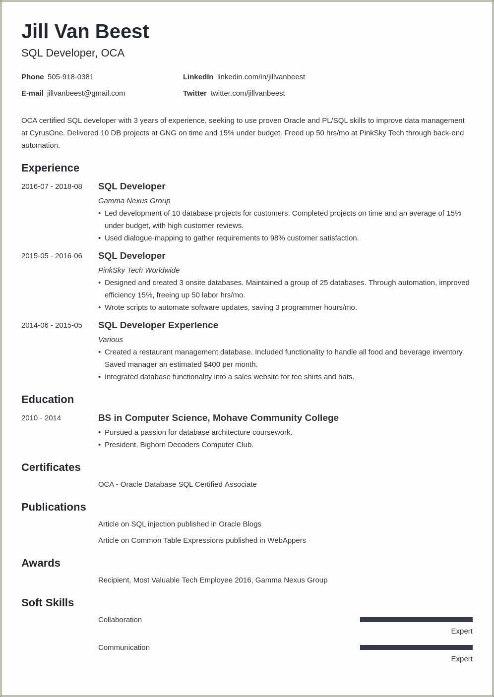 Sql server developer resume sample resume example gallery