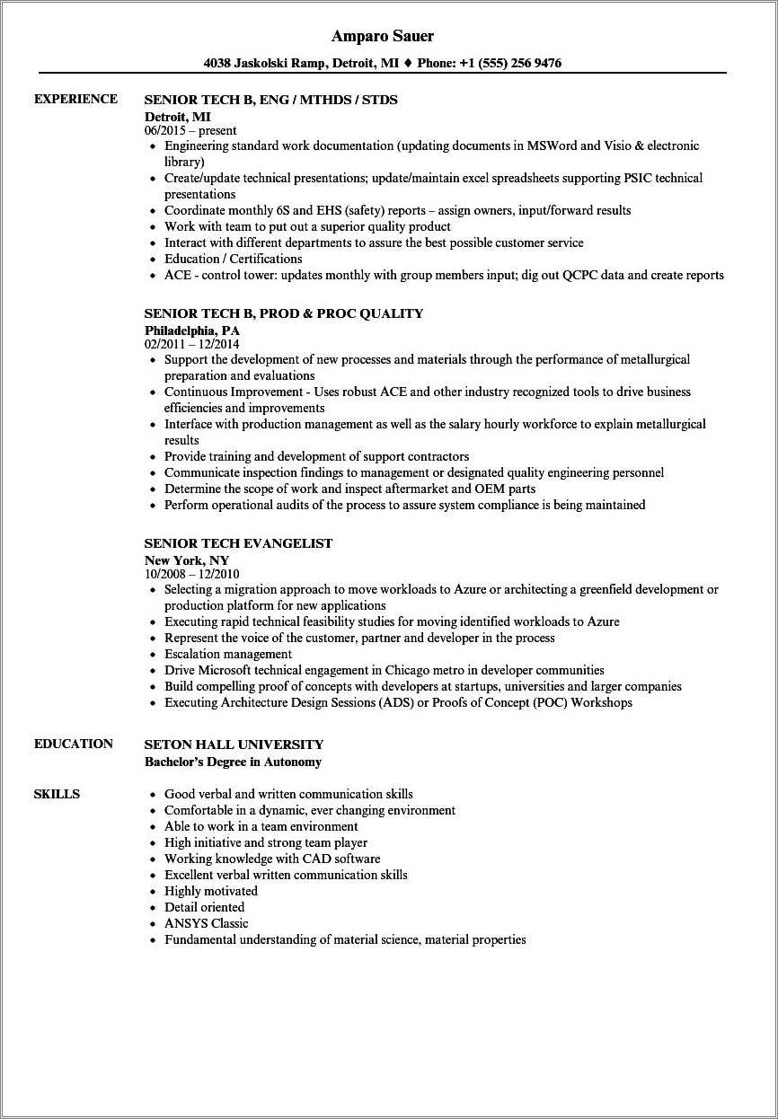 Best Vp Of Technology Resume Resume Example Gallery