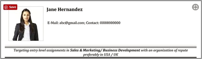Resume Headline Examples For Account Executive