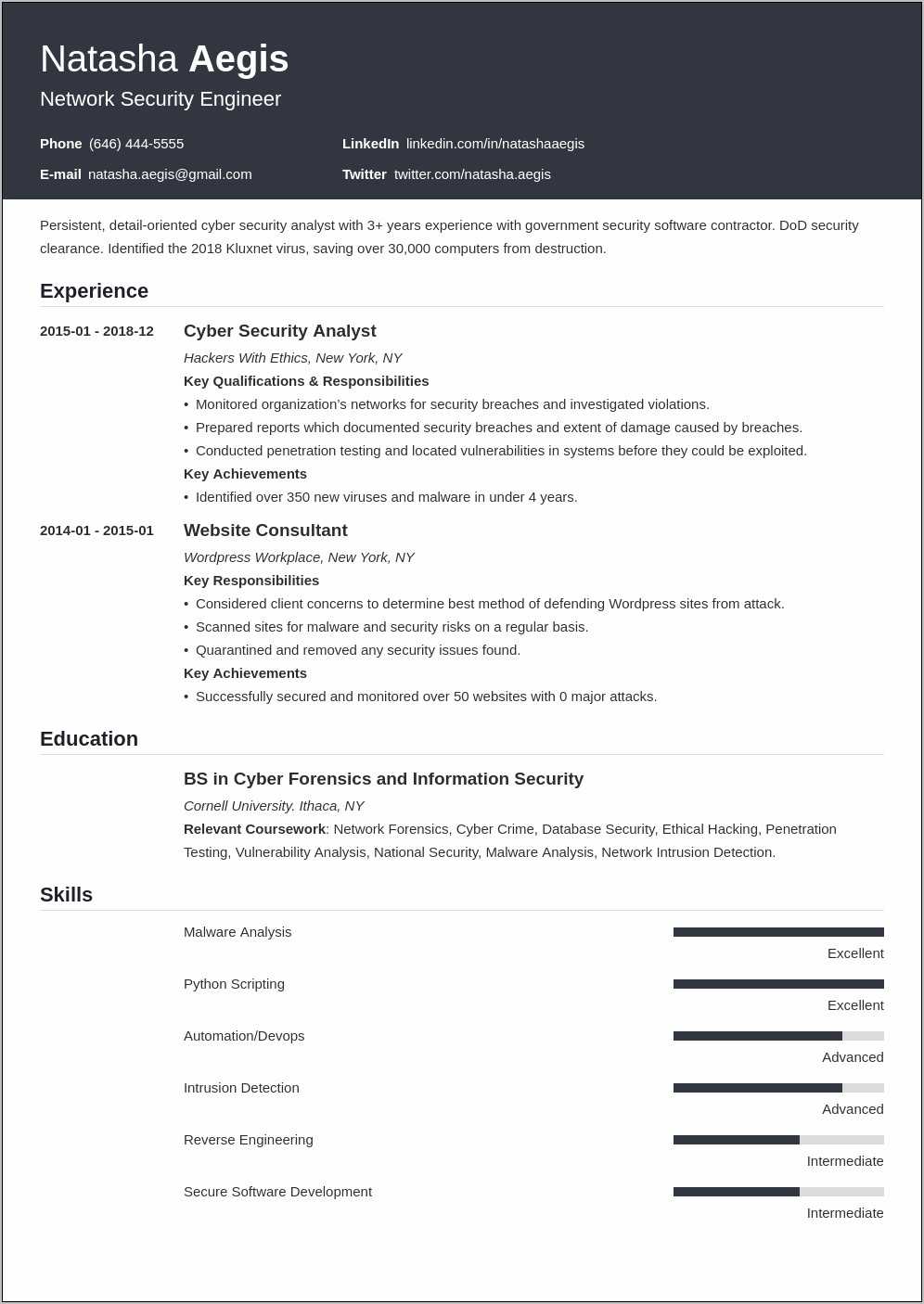 Resume Objective For Cyber Security Jobs
