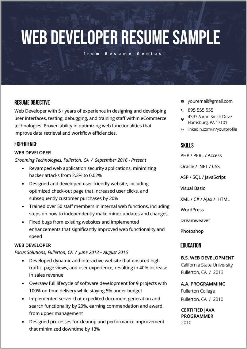 Sample Developer Resumes With Over 20 Years Experience