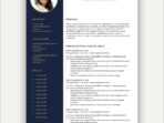Experience Resume Sample Free Download