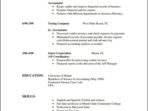 Free Simple Resume Format Template