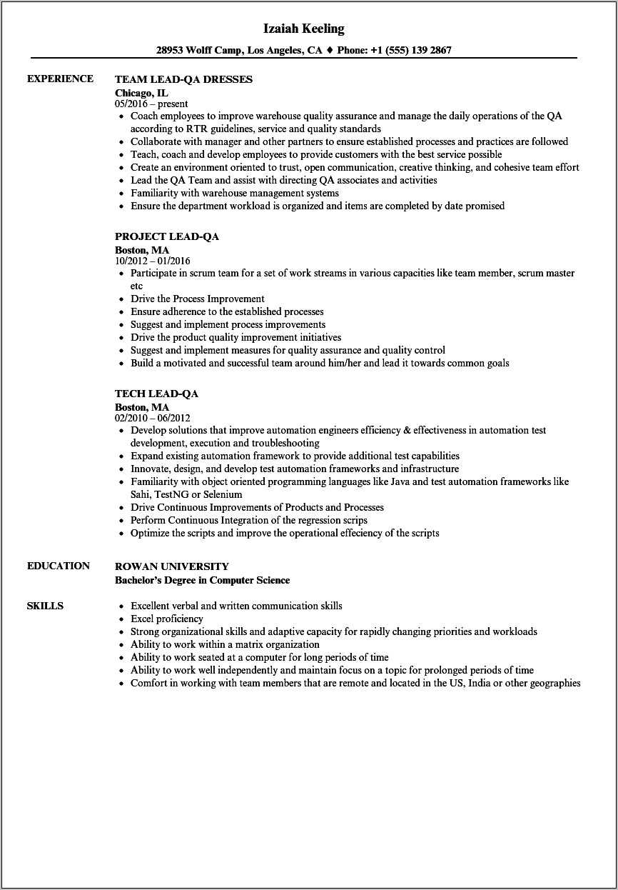 Software Testing Team Lead Resume Sample Resume Example Gallery